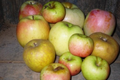 Pommes mélange anciennes variétés