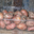 Pommes de terre Grenaille