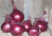 Oignons rouges