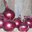 Oignons rouges