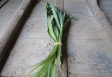 Citronnelle de Madagascar