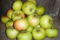 Pomme Reinette Dorée (ancienne variété)