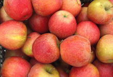 Pomme chanteloup