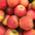 Pomme chanteloup