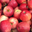 Pomme Gala