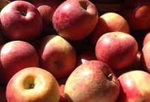 Pomme Fuji
