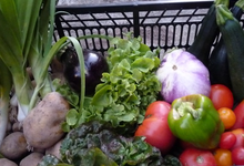LEGUMES BIOLOGIQUES de saison en PANIER