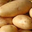 Pommes de terre AGATA, sans conservateurs, Ferme La Margaise