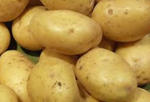 Pommes de terre MONA LISA  sans conservateurs, Ferme La Margaise
