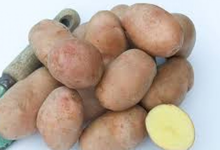 Pommes de terre ROSEVAL sans conservateurs, Ferme La Margaise