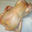 Poulet entier