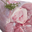 jarret de veau