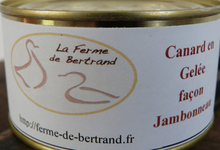 Canard en Gelée façon Jambonneau 