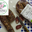Saucisse Sèche de porc BIO