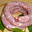 Saucisse de « Toulouse » porc noir Gascon