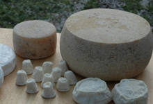 tomme de brebis