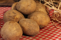 Pommes de terre - variété Agatha