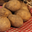 Pommes de terre - variété Agatha