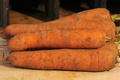 carotte de sable
