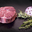 viande à braiser (gite)