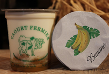 yaourts fermiers sur lit de bananes