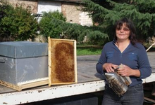  Christine BUSSON , la ferme aux abeilles
