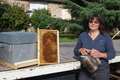  Christine BUSSON , la ferme aux abeilles