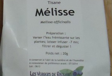 Tisane « MELISSE »