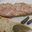  Rillettes de Porc - Conserve