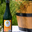 Cidre doux