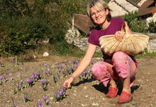 La Safranière du Bugey