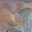  Cuisse De Dinde Sous Vide 