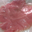  Escaloppe De Dinde Sous Vide 