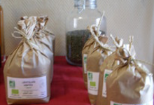  Lentilles vertes Anicia 