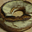 Pain de petit épeautre, Format couronne 