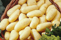 pommes de terre Agata