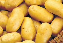 pommes de terre Charlotte