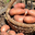 pommes de terre Rosabelle