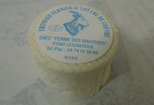 crottin demi sec de chèvre