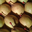 Poire Passe Crassane 