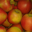pomme delbard jubilé