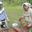 Apidis, les ruchers de Bourgogne