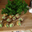 escargots de St Félicien beurrés
