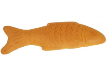Poisson en pain d'épices