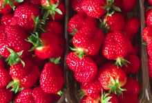 fraises