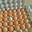 Oeufs