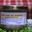 Plat cuisiné de dinde rouge des Ardennes sauce Ardennaise
