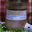 Plat cuisiné de dinde rouge des Ardennes aux morilles