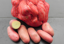 Pommes de terre rose cherie
