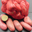 Pommes de terre rose cherie